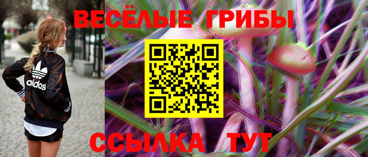 Псилоцибиновые грибы Psilocybe Алушта